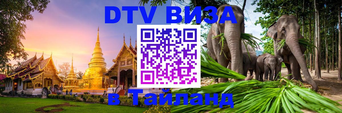 Сколько стоит виза DTV в Тайланд Калининград 